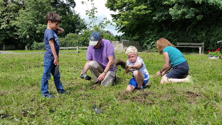 NML Daffodil planting1