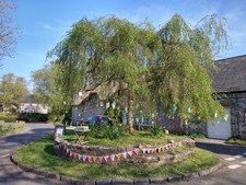NML Tree of good wishes