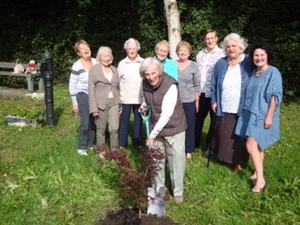 NML WI tree planting