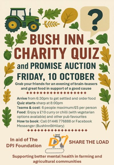 Bush charity quiz 2510 DPJ 400