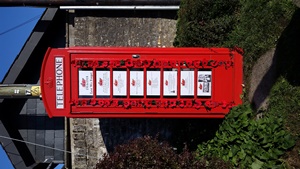 poppy telephone box