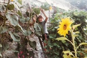 Adrian Kitchen sunflower competiton 1980s Copy